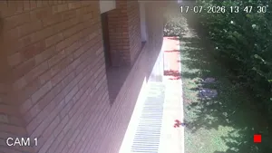 Caméra IP - IT