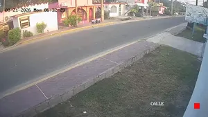 Caméra IP - MX