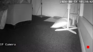 Caméra IP - AU