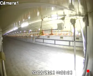 Caméra IP - ES