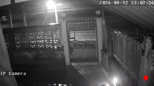 Caméra IP - TH