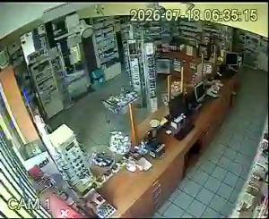 Caméra IP - PL