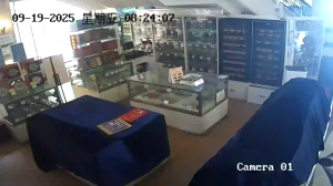 Caméra IP - CN