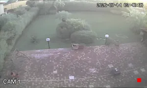 Caméra IP - IT
