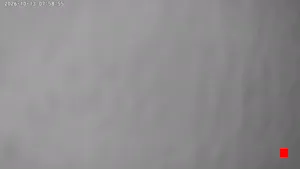 Caméra IP - ZA