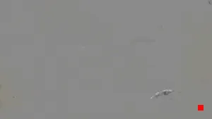 Caméra IP - ES