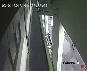 Caméra IP - IN