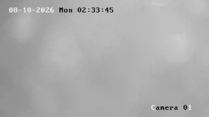 Caméra IP - IR