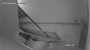 Caméra IP - IT
