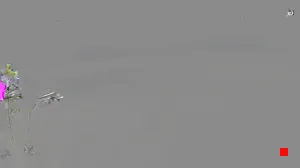 Caméra IP - IN