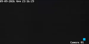 Caméra IP - Vue en direct