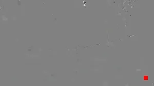 Caméra IP - US