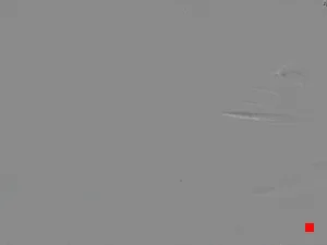 Caméra IP - ES