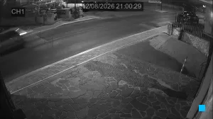 Caméra IP - IT