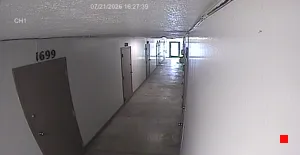 Caméra IP - US