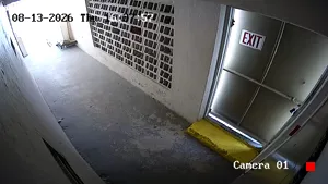 Caméra IP - US