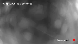 Caméra IP - UY