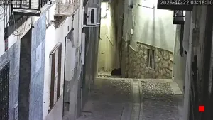 Caméra IP - ES