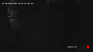 Caméra IP - US