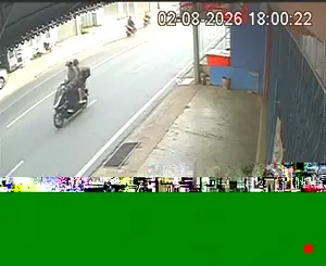 Caméra IP - TH