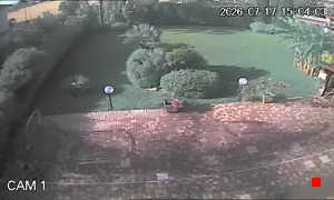 Caméra IP - IT