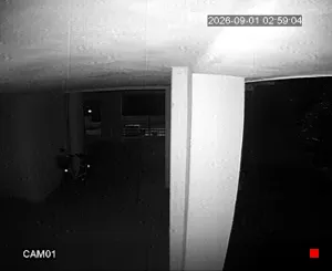 Caméra IP - IT