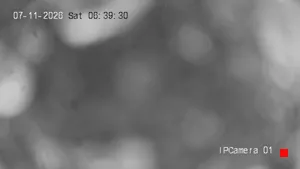 Caméra IP - US
