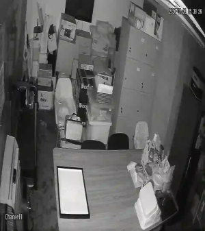 Caméra IP - PH