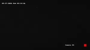 Caméra IP - US