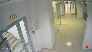 Caméra IP - RU