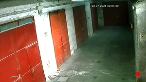 Caméra IP - IT