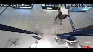 Caméra IP - PE