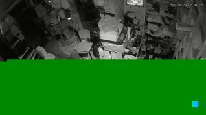 Caméra IP - DZ