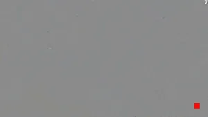 Caméra IP - ES