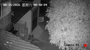 Caméra IP - CN