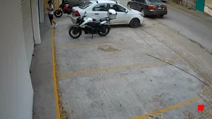 Caméra IP - MX