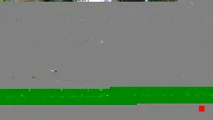 Caméra IP - IN
