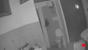 Caméra IP - IT