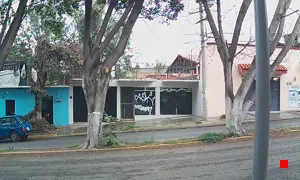 Caméra IP - MX