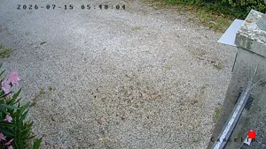 Caméra IP - IT