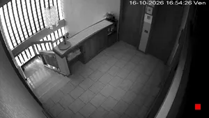 Caméra IP - IT