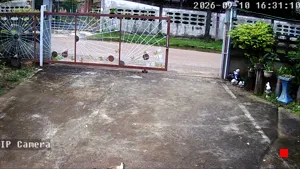 Caméra IP - TH