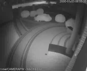 Caméra IP - PL