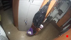 Caméra IP - PL