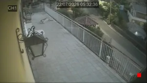 Caméra IP - IT