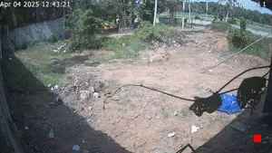Caméra IP - IN