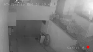 Caméra IP - IT