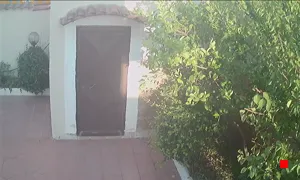 Caméra IP - IT