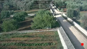 Caméra IP - IT