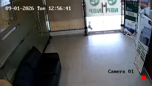 Caméra IP - PK